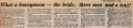 19781117 HONEYMOON BRIDE KNP